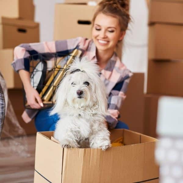 Move-cleaning-6 Move-cleaning-6